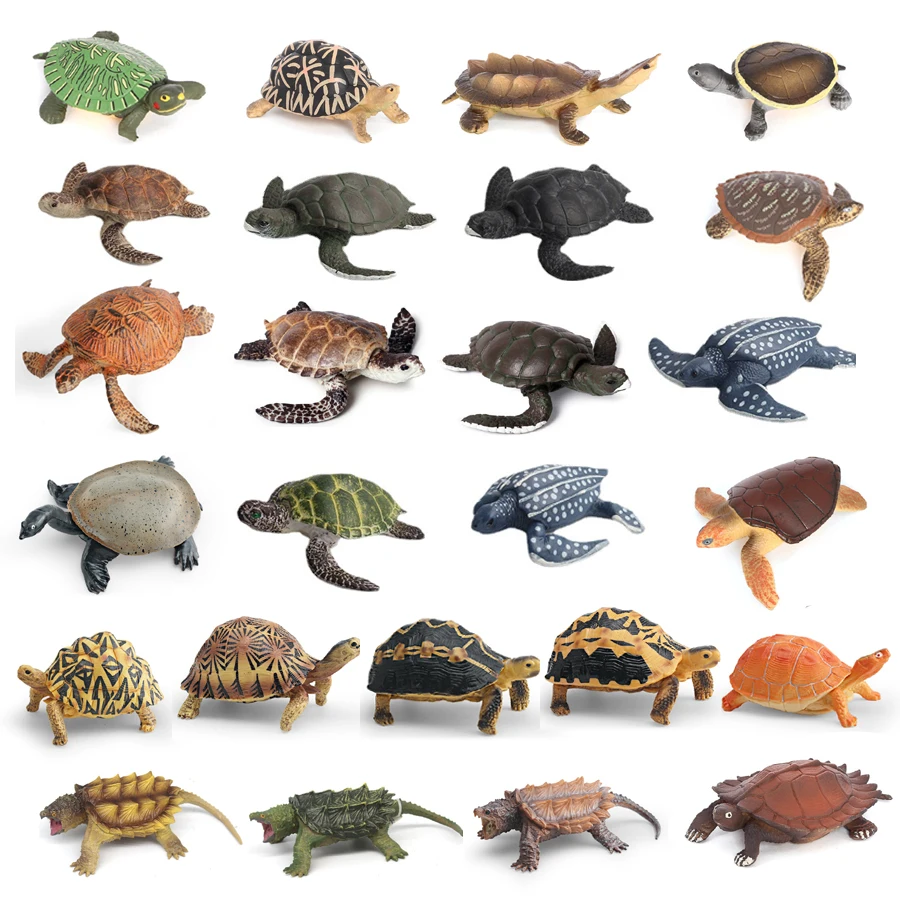 Simulation Chinese Softshell Leatherback Sea Turtle Snapping Turtles ...