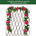 9 rose red