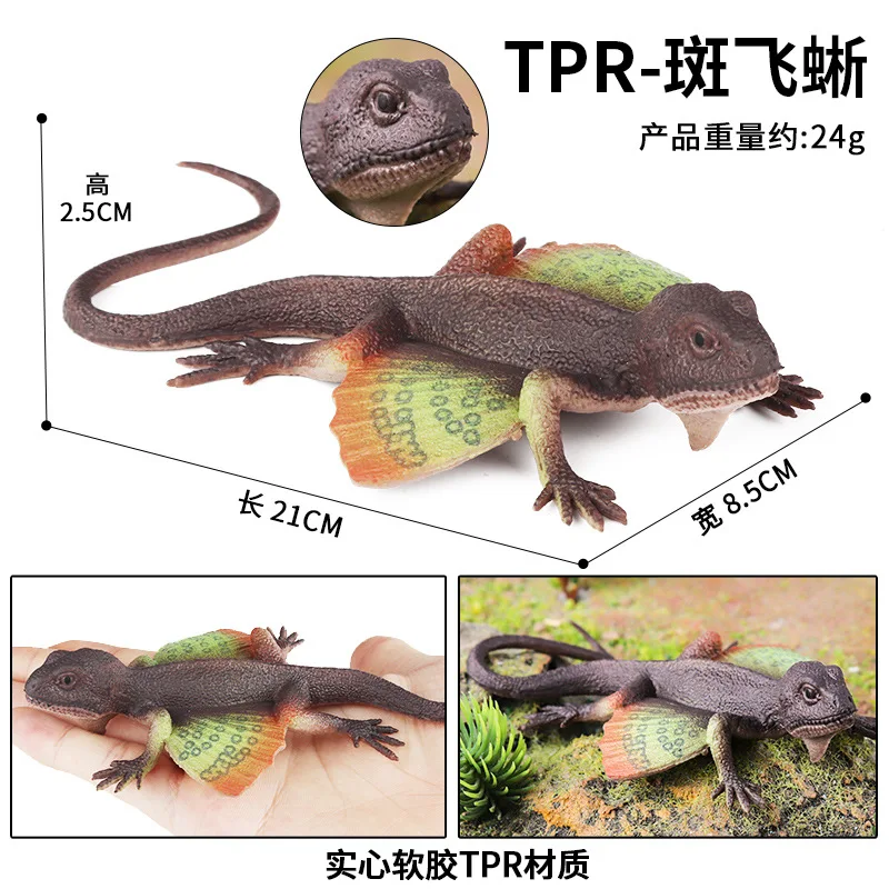 Cross border simulation Wild Insect Animal Model Set Mini lizard umbrella  lizard chameleon horn lizard Temple lion lizard toy - AliExpress