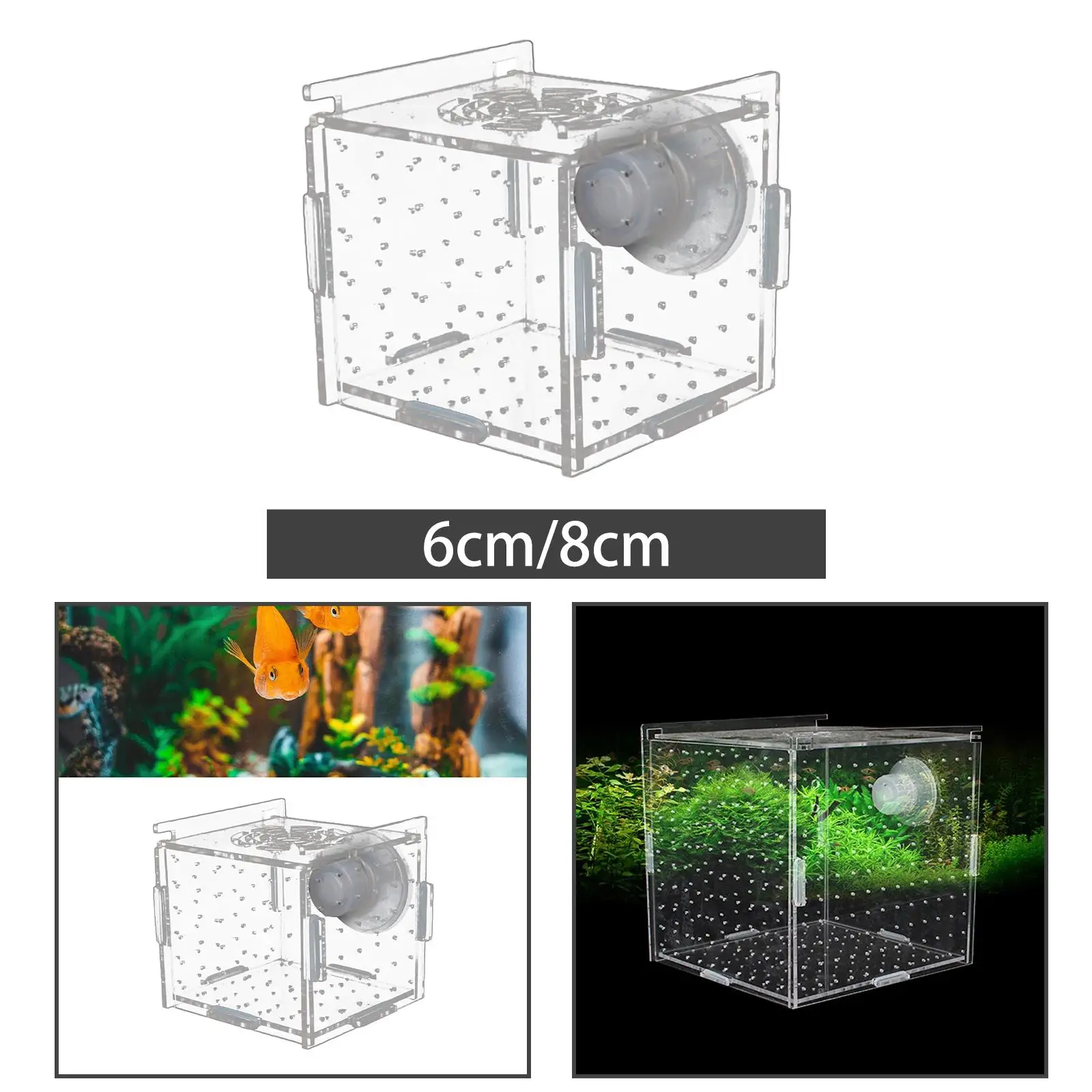 Title 2, Fish Breeder Box Transparent Suction Cup Square...