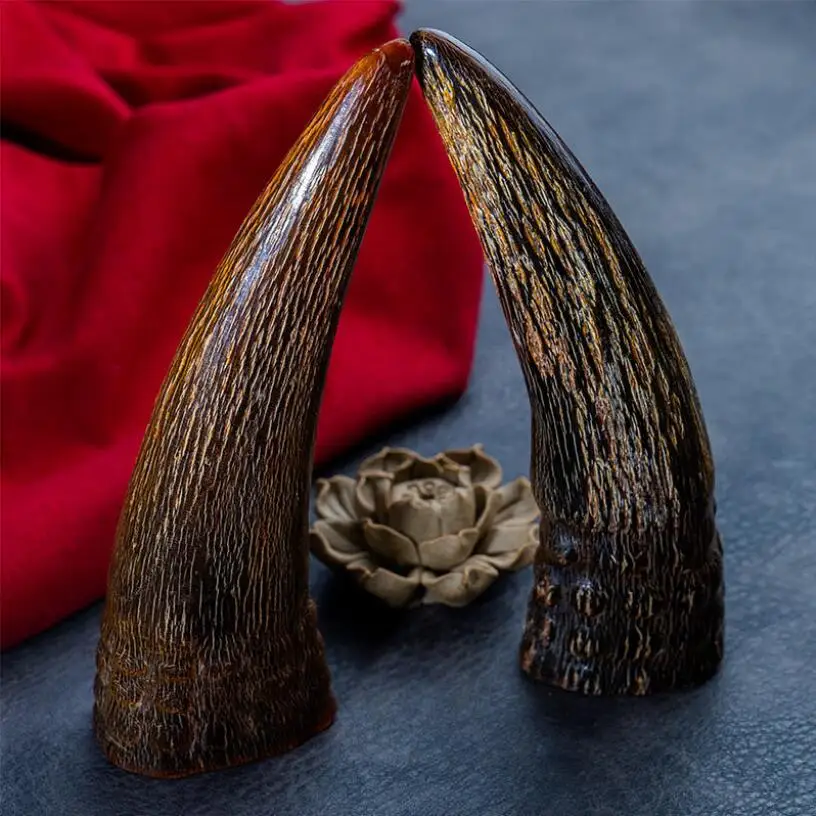 

Ox horn ornaments No carving ornaments