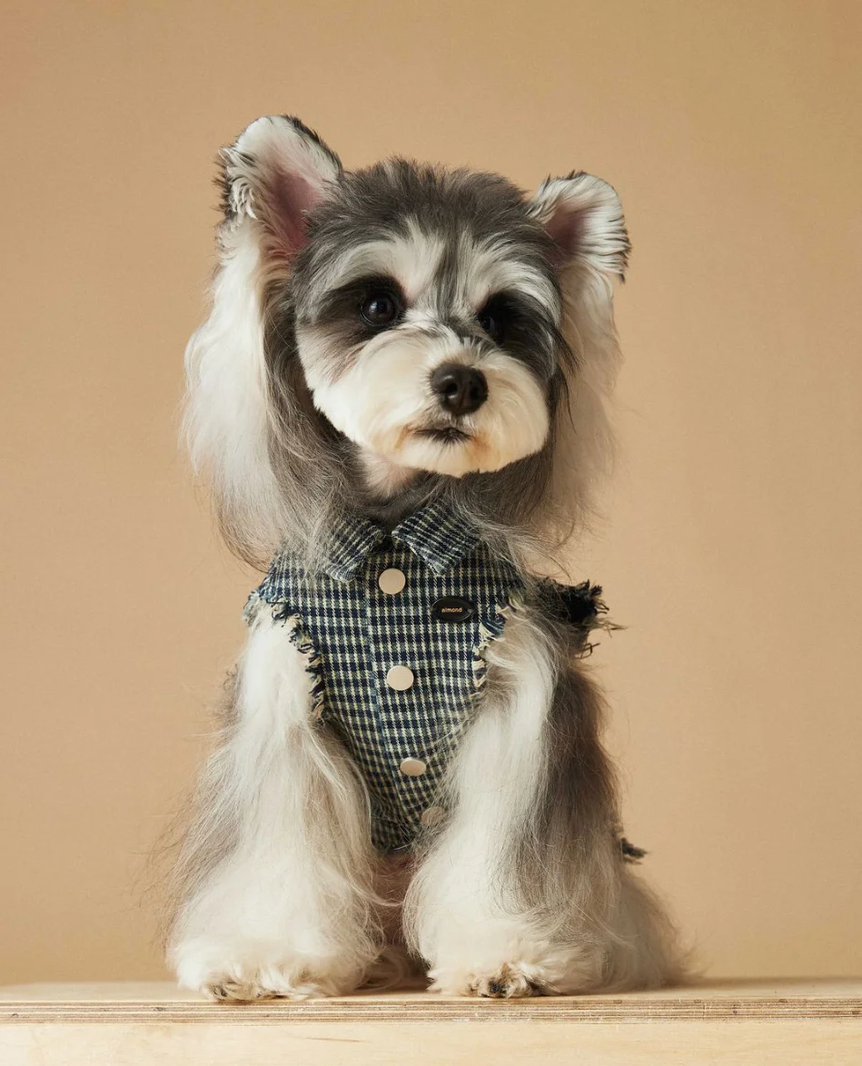Dog Sleeveless Cowboy Vest Tony Bears Dog Tank Top for Teddy Schnauzer Bears Marquis