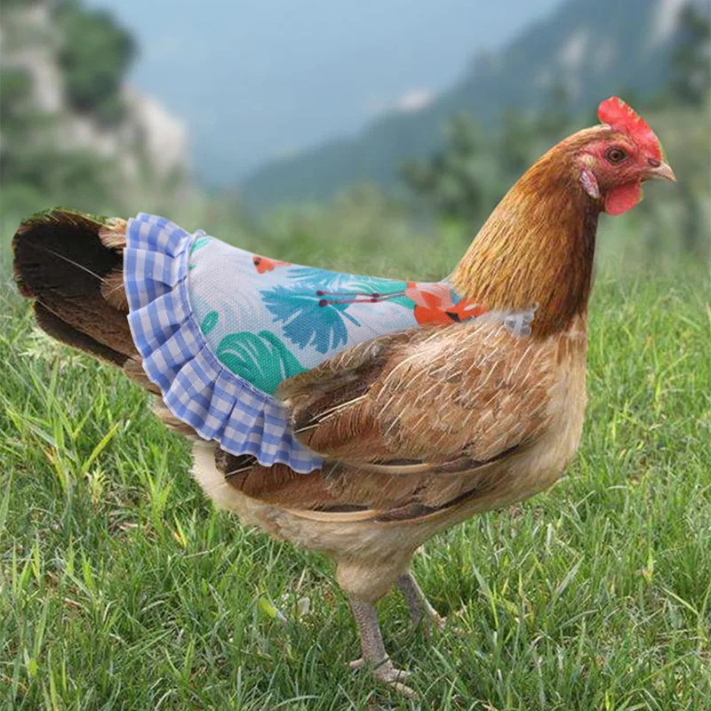 양봉 용품 세트, 꿀벌 여왕 캡 보호 셀 커버, 플라스틱 케이지, 20 개 세트 8 닭 신축성 레이스 원피스 애완 동물 조끼, 오리 거위 가슴 등 조절 가능, 암탉 앞치마 깃털 보호 거치대, 농장 용품