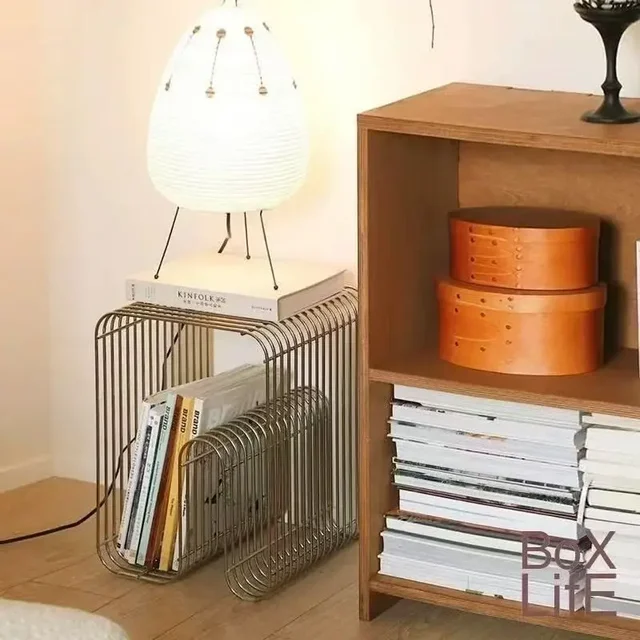 Table basse scandinave moderne en métal, table d'appoint élégante et minimaliste avec rangement pour le salon, pour magazines et livres 1
