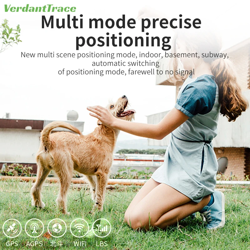 2G 4G Pet GPS Tracker Electronic Fence Mileage Statistics Water-Resistant Smart Locator Remote Intercom Track Playback Cat Dog