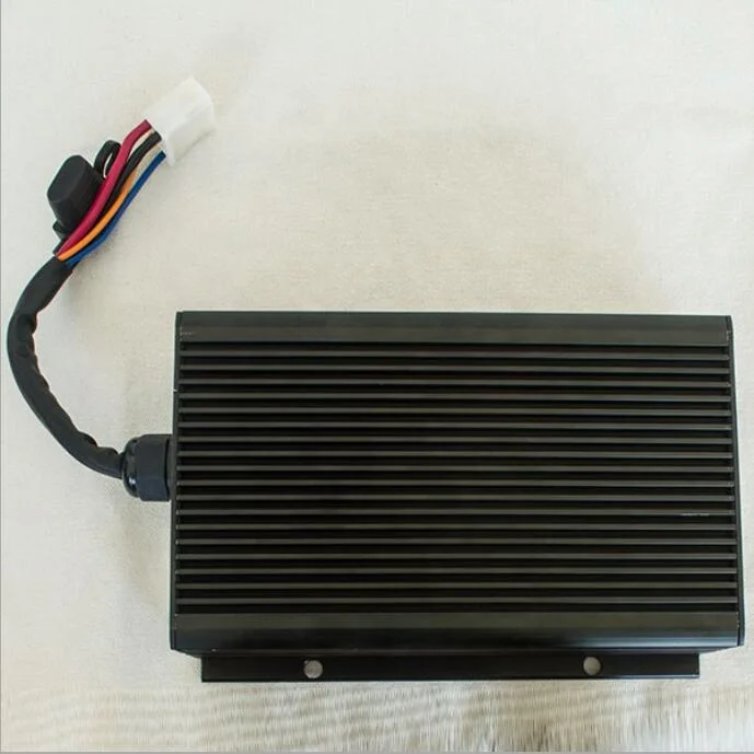 

Isolated Converter 48V-12V 25A for Electric Golf Car Eve Conversion Kit