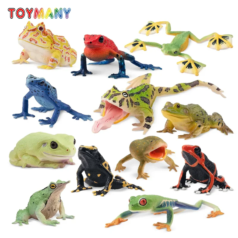 12 pçs simulação sapo réptil animais modelo brinquedo mini sapos figuras bonecas estatuetas de ação brinquedos crianças conjunto presente decoração do bolo