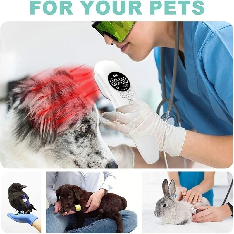 Handheld 650nm+808nm Cold Laser Device Rechargeable LLLT for Muscle Repair & Pet Pain Management