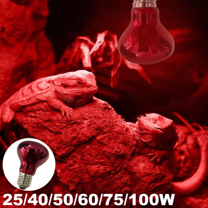 Zoo Med Nightlight Red Reptile One Night Light Heat Globe