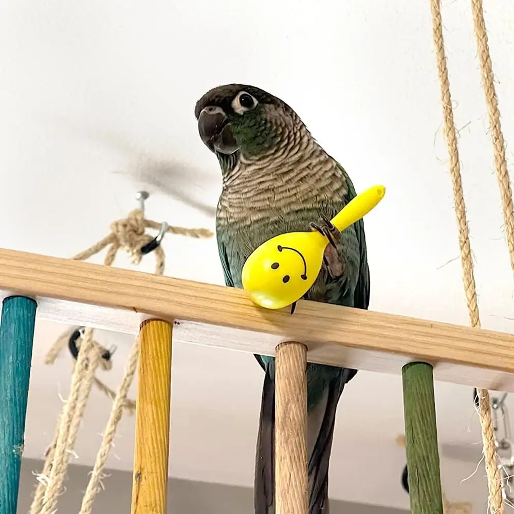 5Pcs Parrot Rattle Toy Funny Bell Toys Mini Sand Hammer Bird Parrot Toys for Chicken Bird Parakeet Cockatiel Budgies Love