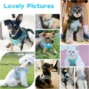 Dog Harness Leash Set Reflective Breathable for Small Dogs Adjustable Puppy Cat Harness Vest French Bulldog Chihuahua Pug 6