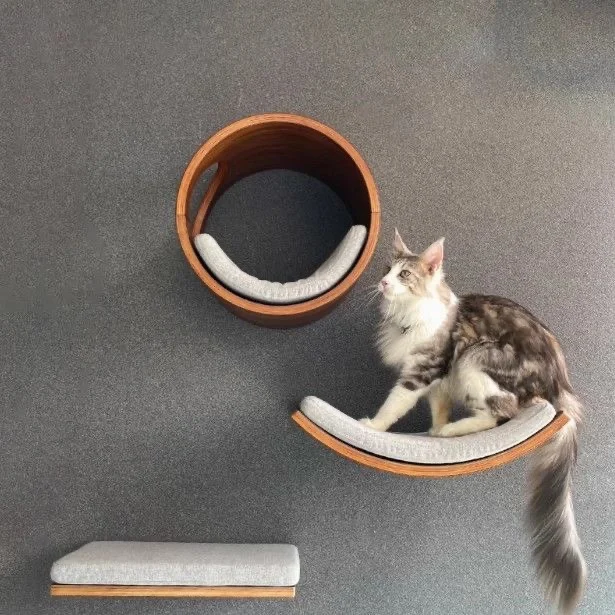 Massivholz Katzen-Wandset: Wandmontiertes Katzenbett mit Katzenbaum-Kombination, Katzenspielplatz, der Bodenfläche befreit – Detail 3