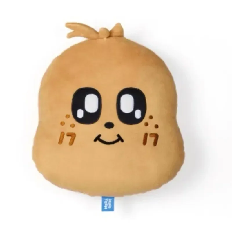Kpop Idol JEONGHAN WONWOO Miniteen Face Cushion Plush Pillows 30cm