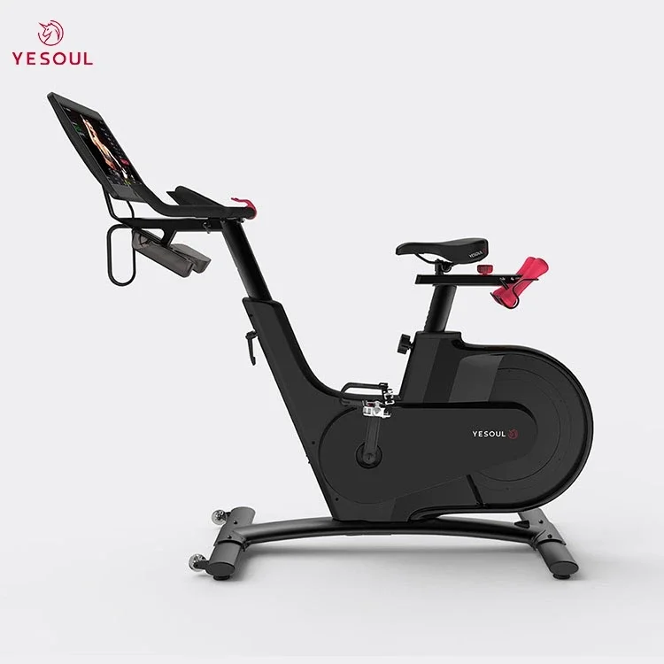 Exercise Bikes,Exercise Bike, Magnetic Stationary Bike With App, Low Noise Indoor Cycling Bike