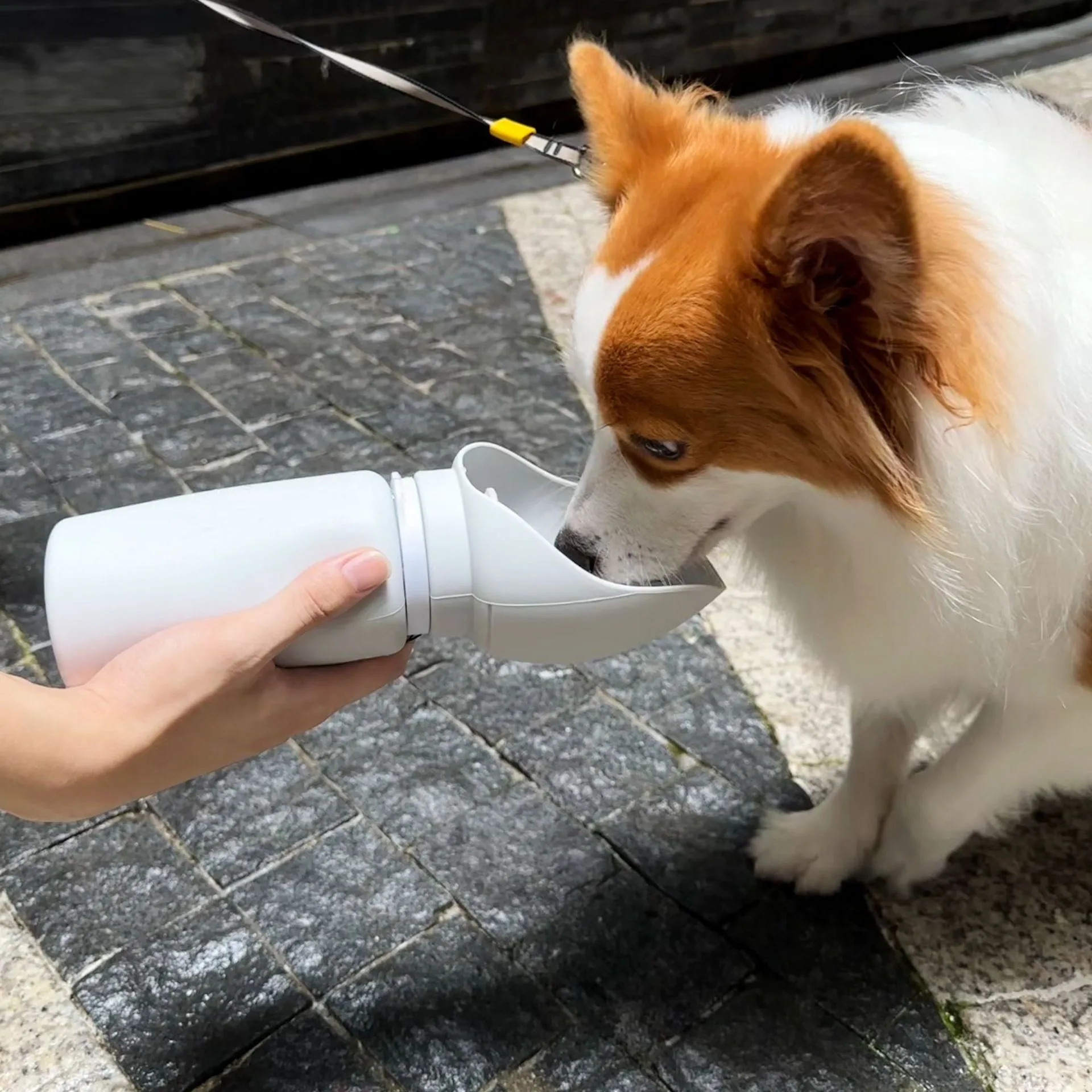 Accessori per animali domestici: ciotola per l'acqua per cani, borraccia portatile pieghevole da viaggio per esterni, dispenser d'acqua per cani durante le passeggiate._voghion.com