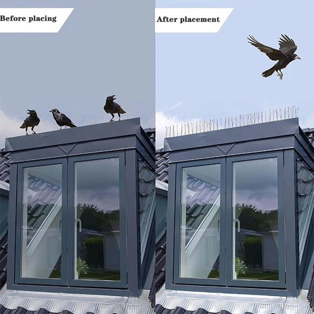 25 Cm-Es Rozsdamentes Acél Lepleller Madár Galamb Tüskék Környezetbarát Elleni Küzdelem - Image 4