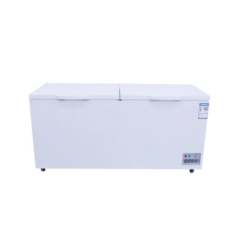 Best-selling two-door commercial best-selling food storage freezer 2