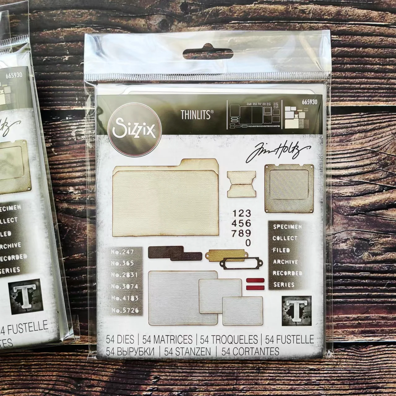 

Sizzix 665930 Thinlits Die Set 54PK - Specimen by Tim Holtz