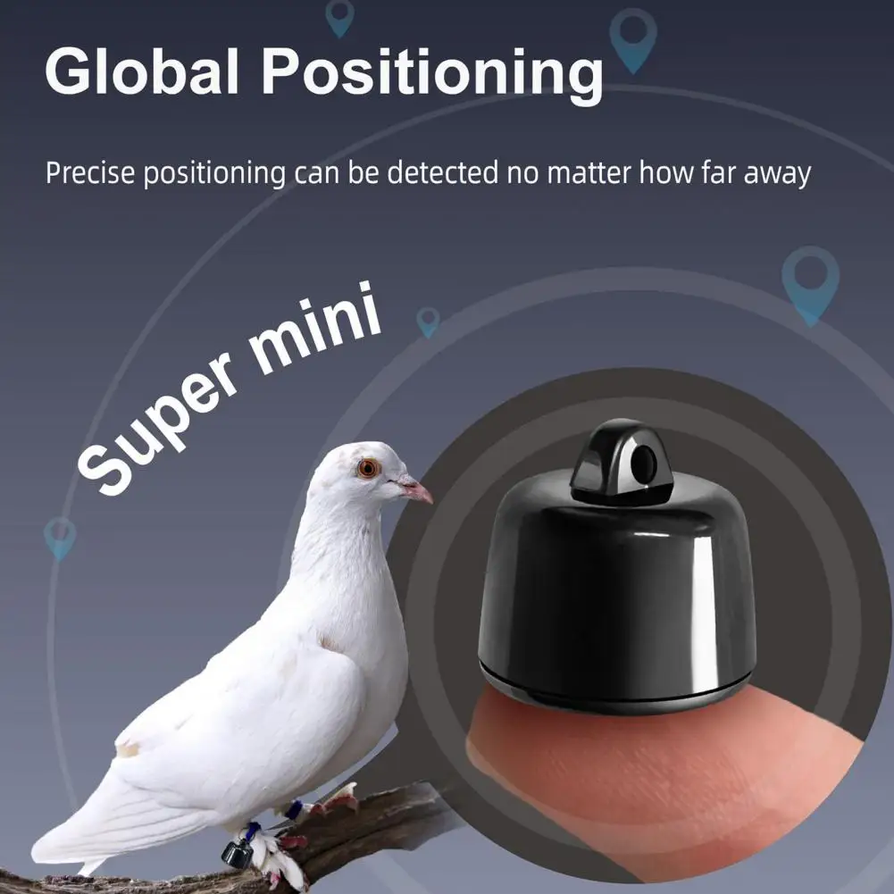 Smart Pet Tracker Location Tracking Collar Real-Time Global Positioning Mode Battery Powered Anti-loss Mini Dog Tracker Pet Loca