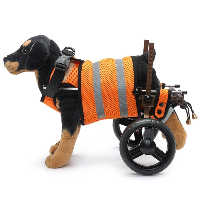 Roues de rechange pour chariot roulant pour chien handicapé