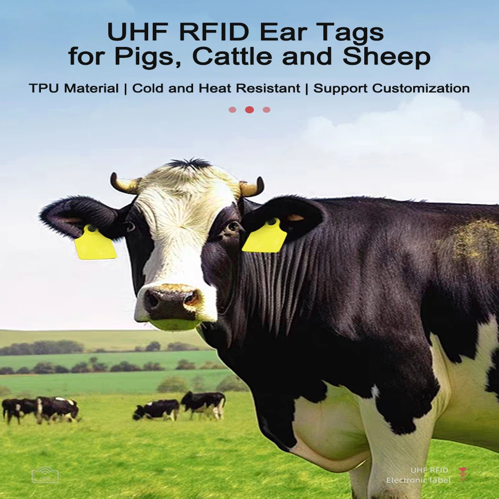 RFID UHF/LF EM4305 동물 전자 태그 125KHz 돼지, 소, 양용 귀 태그 UHF 장거리 가축 관리용 20개
