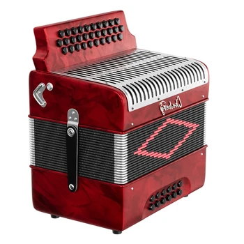 31 Key 12 Bass Button Accordion,Diatonic Accordion with Strap,Professional Musical Instrument for Students, Beginners and Adults
