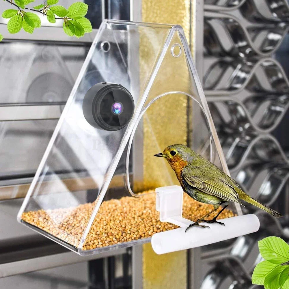 Clear Plastic Window Bird Feeder for Outside - Clear Window Bird