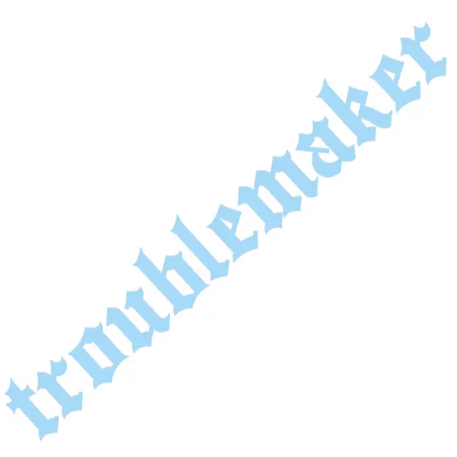 Image 20