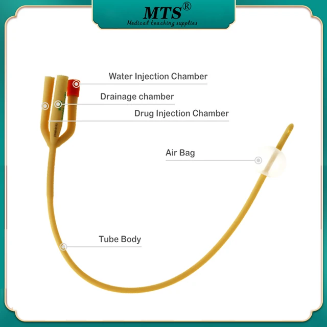 Triple Lumen Way Foley Catheter Parts Discount Buying cdntb.edu.vn