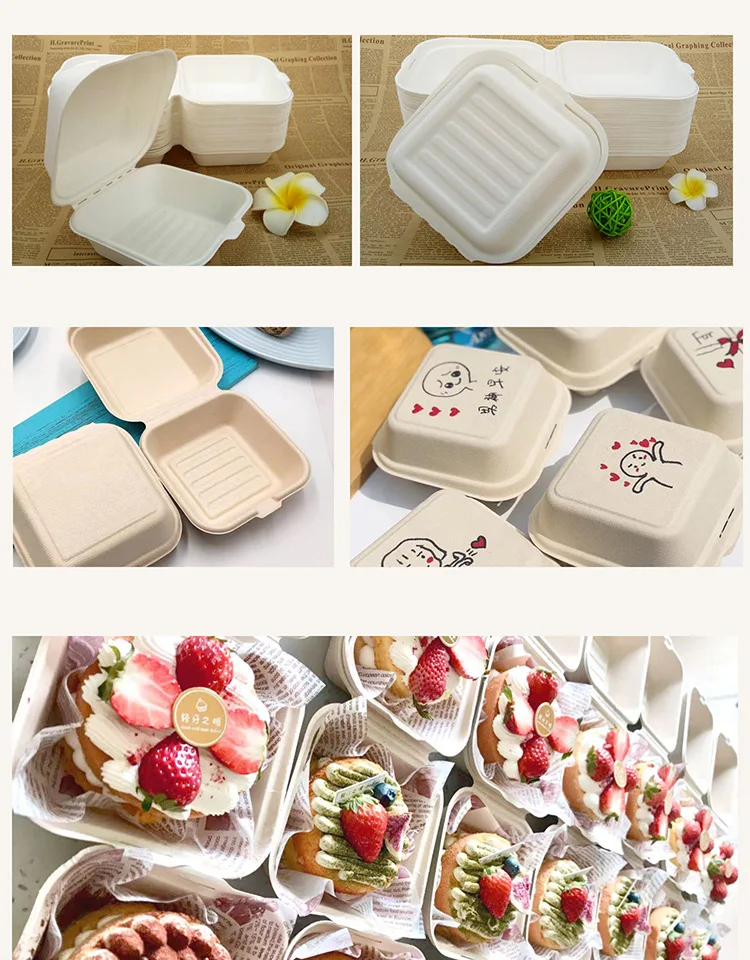 20/10pcs Disposable Bento Food Containers, Biodegradable Sugarcane & Wheat Straw Lu... - SKU DBFC2223 - UGI Packaging