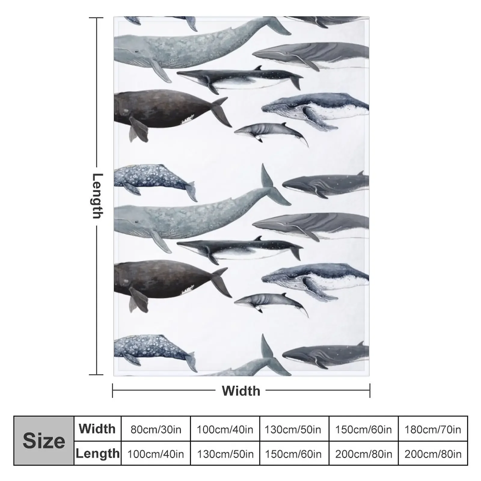 ������ ������ ���� ������ ���, �Ƹ��ٿ� ���ſ� ħ�� ����, ���� ���