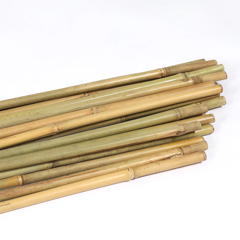 2 ft. x 5/16 in. Natural Bamboo Eco-Friendly Garden Plant Stakes for Climbing Support (100-Pack)