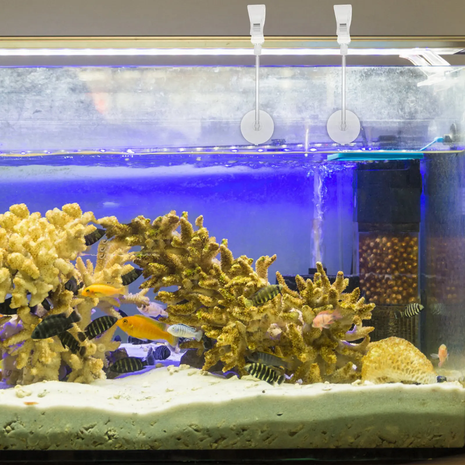 3Pcs 수족관 흡입 컵 클립 헤비 듀티 PVC Ps 와이드 입구 식물 식품 홀더 조정 가능한 360도 회전 물고기 탱크