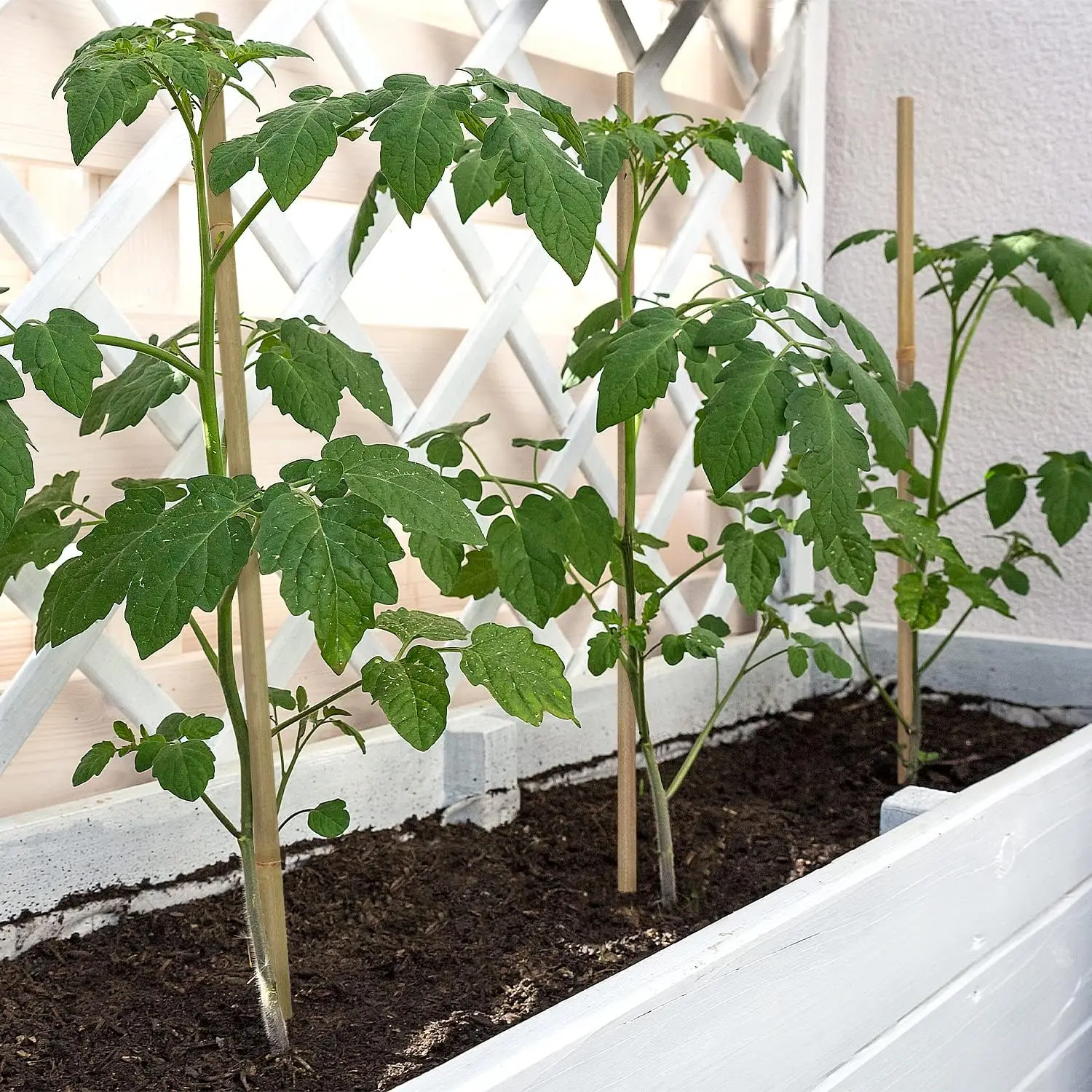 Plant stakes plant support stick 10pcs Bamboo Plant Stakes For Outdoor and Indoor Bamboo Sticks Garden Support Stakes Bamboo Poles Trellis for Tomato Vegetables