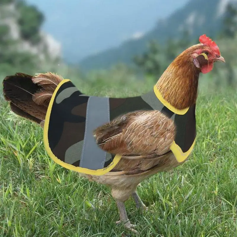 Reflective Adjustable Chicken Vest for Poultry Safety
