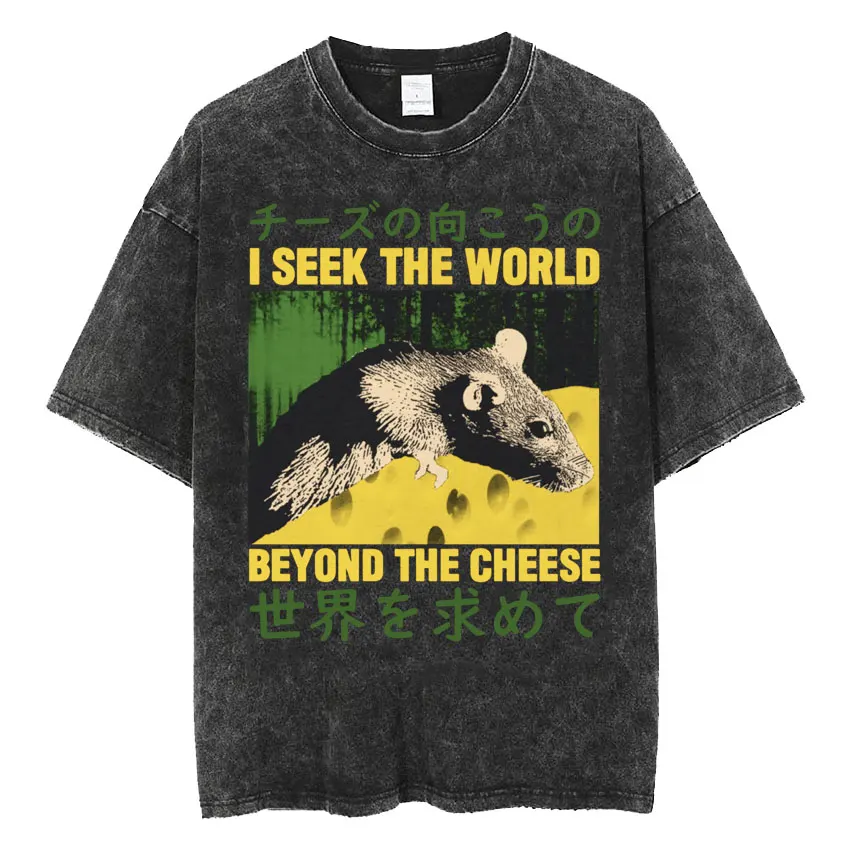 The Horrors Are Never Ending Yet I Remain Silly T-shirt Funny Japanese Style Frog Retro Washed T Shirt Men's Oversized Tees Tops 3