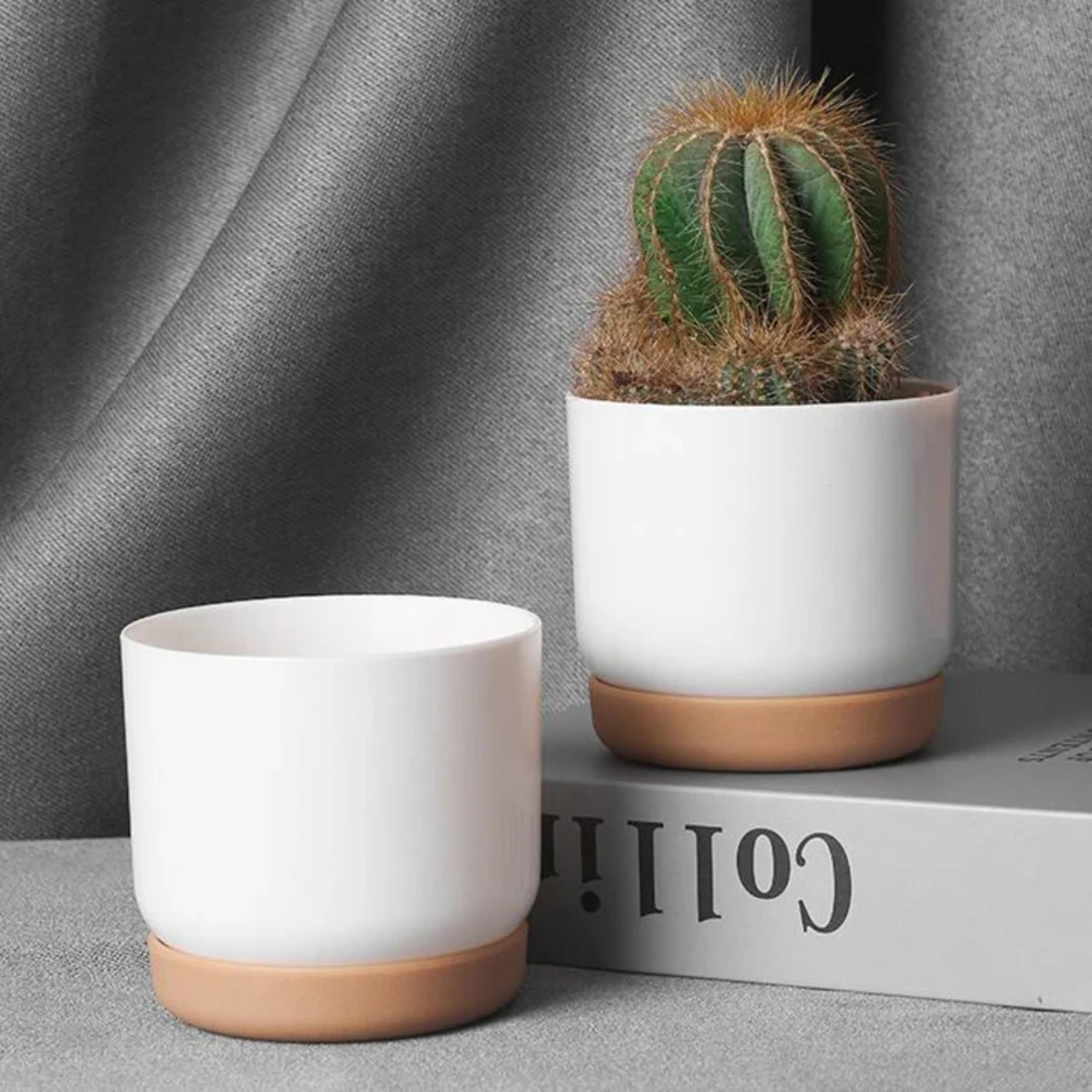 Double-Layer Succulent Pot 5