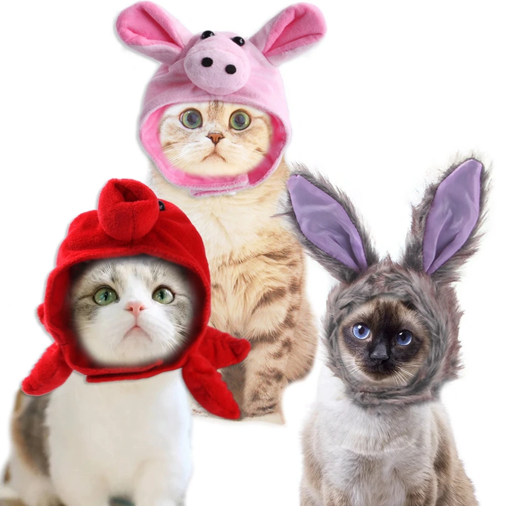 Halloween Haustier Dekoration Set, Kürbis Samt Fliege Kragen Und Pailletten  Hut, Katze Dress Up Kopfschmuck Für Kleine Hunde Und Katzen