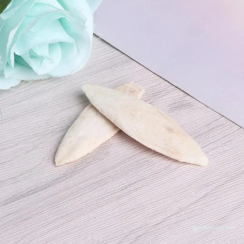 Cuttlebone Bird Food Calcium Pickstone Pet pet mineral supplement