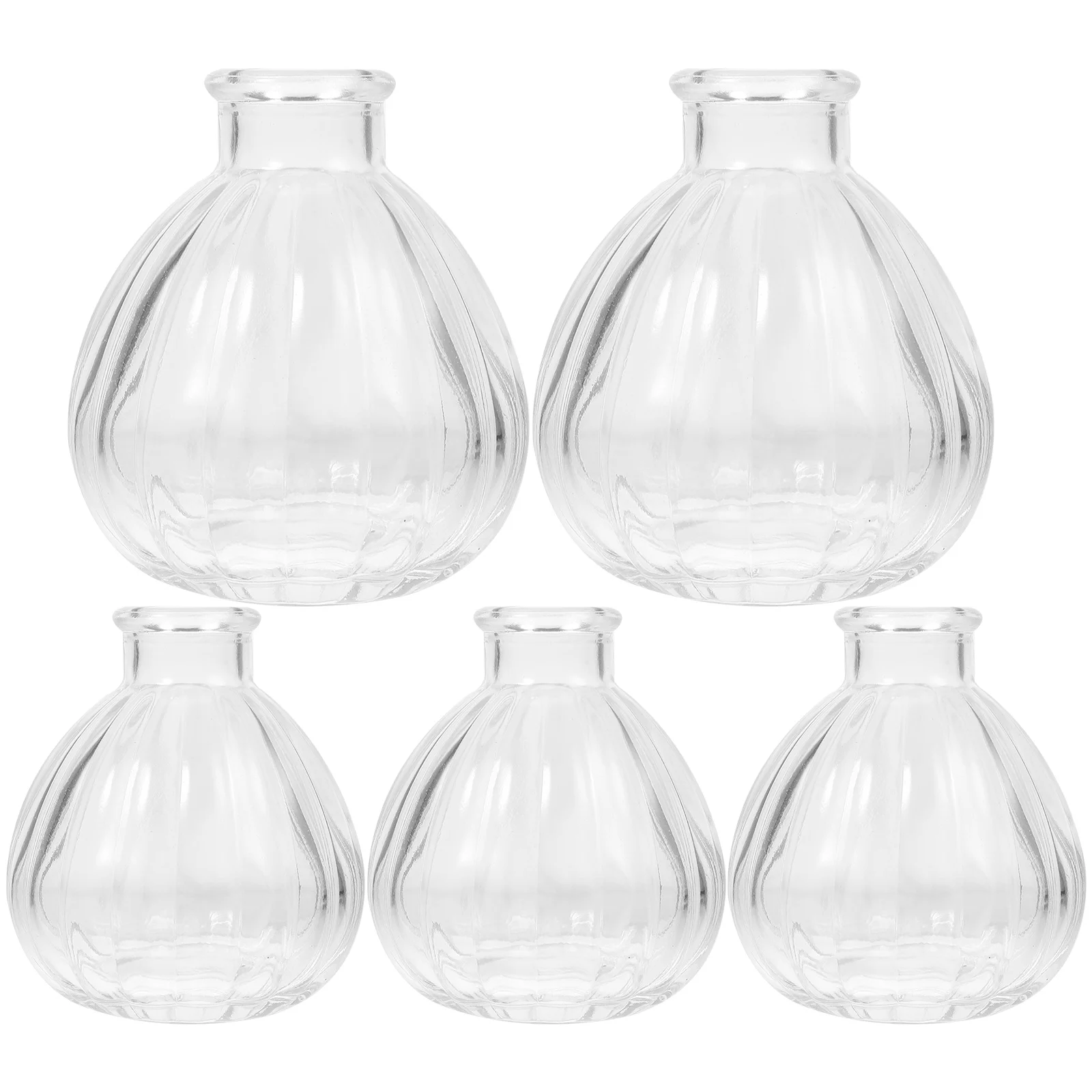 

5pcs Glass Flower Vase Glass Vase Clear Flower Vase Flower Container Small Flower Vase