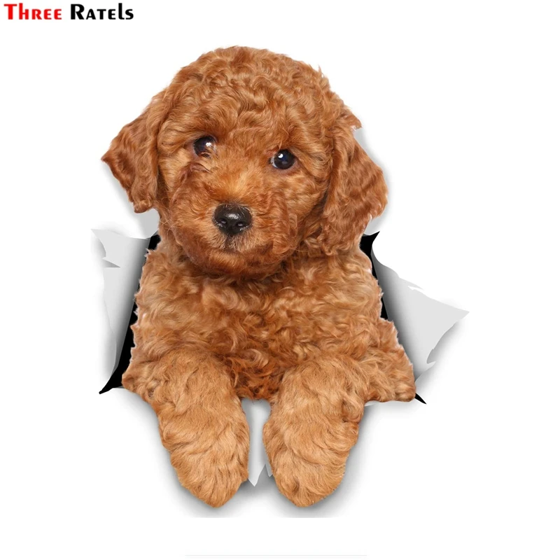 

Three Ratels 1057 Lovely 3D animal stickers Lion dog Jiwa Teddy dog PVC household decoration wall stickers toilet decals