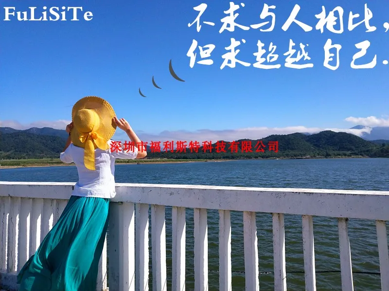 FuLiSiTe Printer Parts Supplier Store Tel Wechat Whatsapp 8615914010723 Store