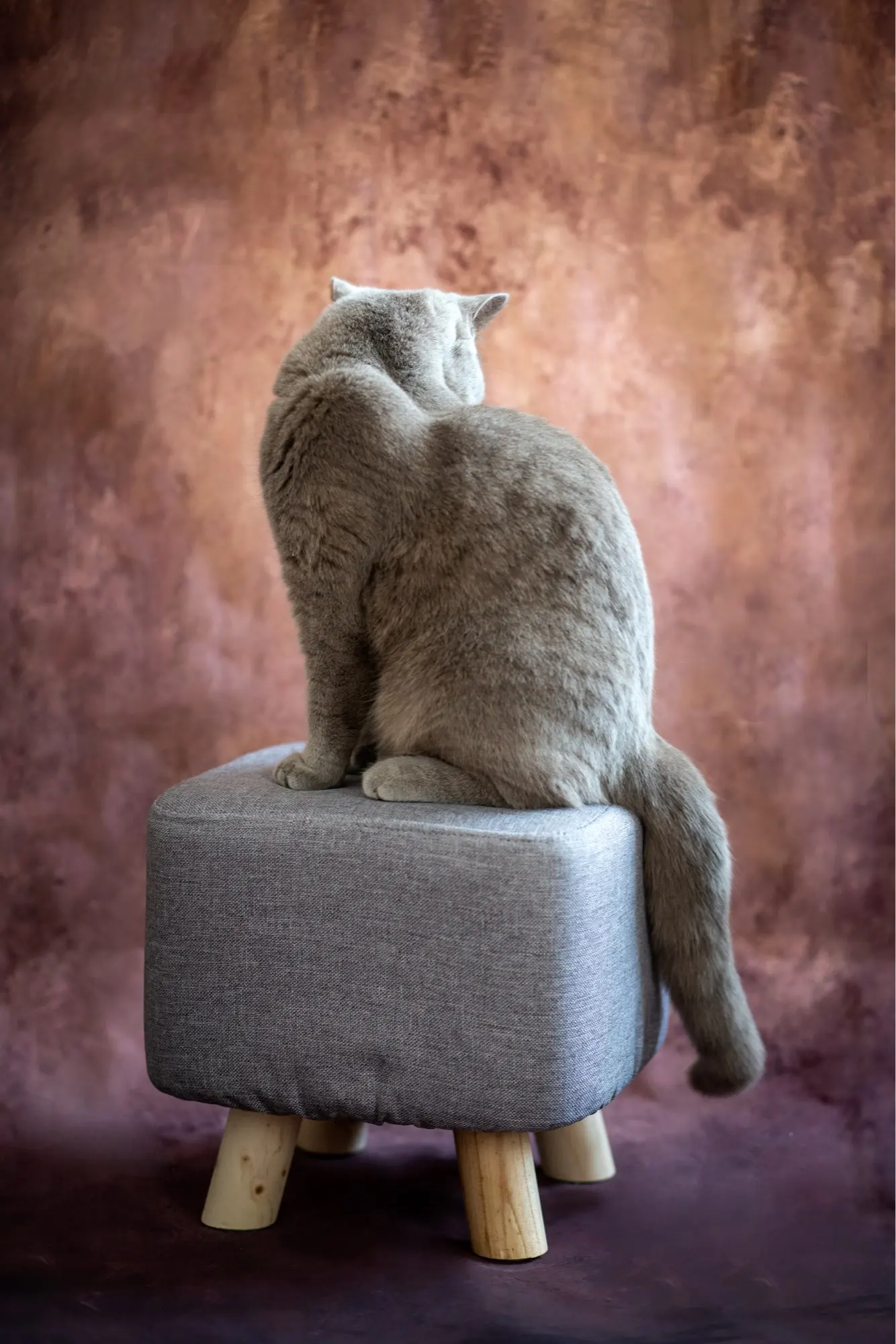 Description Picture 4 of itemAbstract Gradient Texture Backdrop for Photography Vintage Blue Brown Art Self Portrait Pet Baby Newborn Background Photo Studio