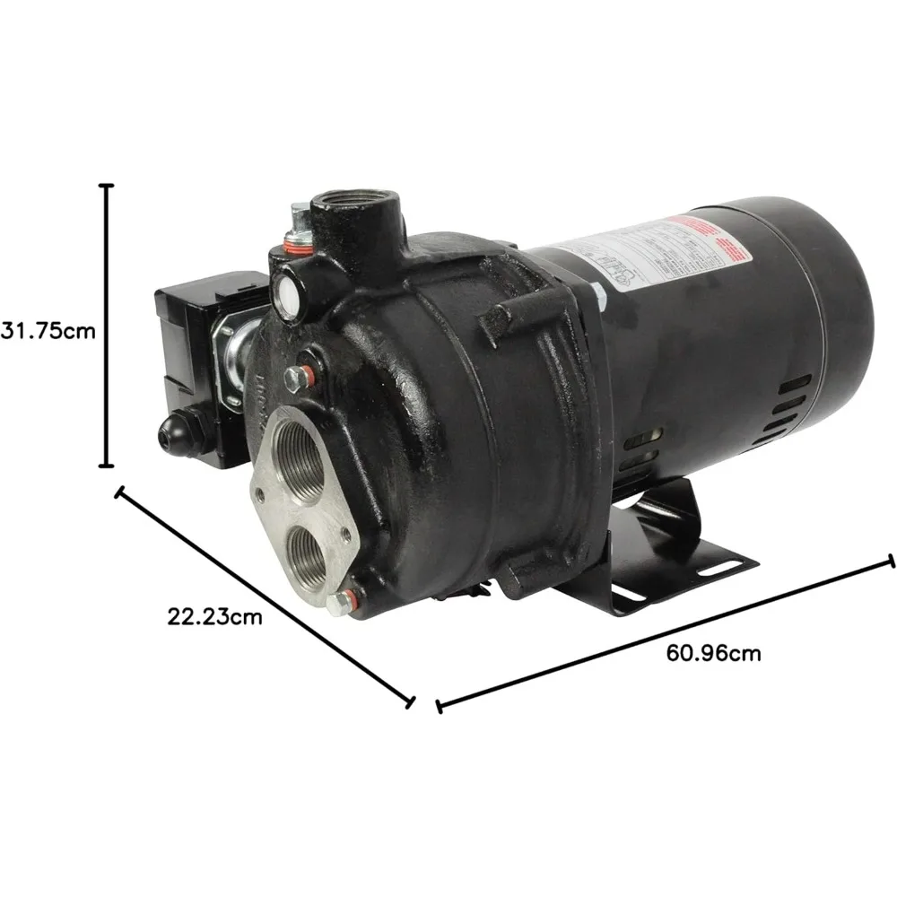 Wayne CWS100 1 Horsepower Cast Iron Jet Well Pump with 588 GPH Capacity - Heavy Duty, Black
