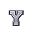 Y