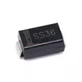 SS36 SMA