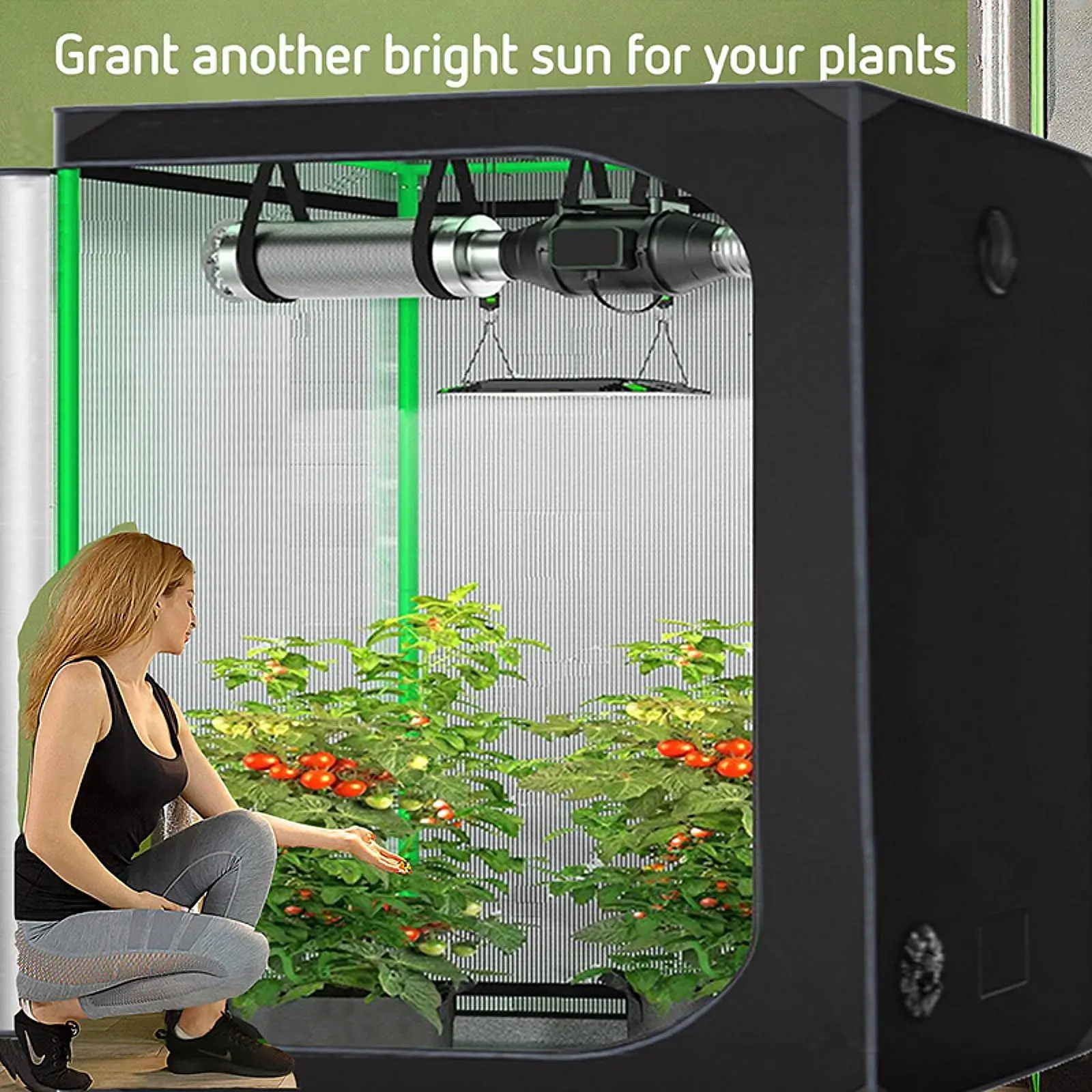 Plant Growing Tent Versatile Plant Container Cultivation Equipment with Viewing Window for Growing Flowers Bonsai Vegetables