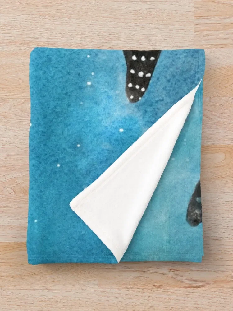 �� ���� ���, ���� ���, ���� ���