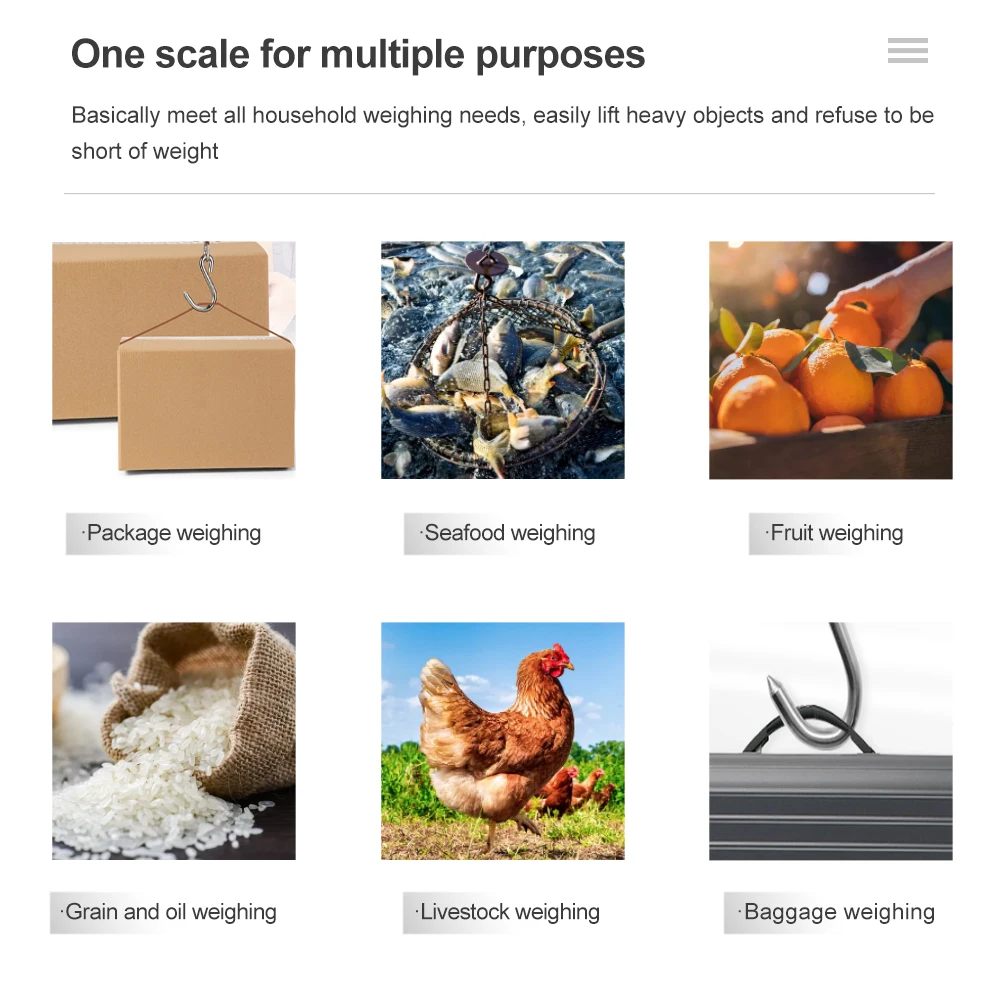 Digital Scale 40kg x 10g Mini Electronic Hanging Fishing Luggage Portable Pocket Weight Hook Scale