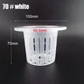 NO.70 white